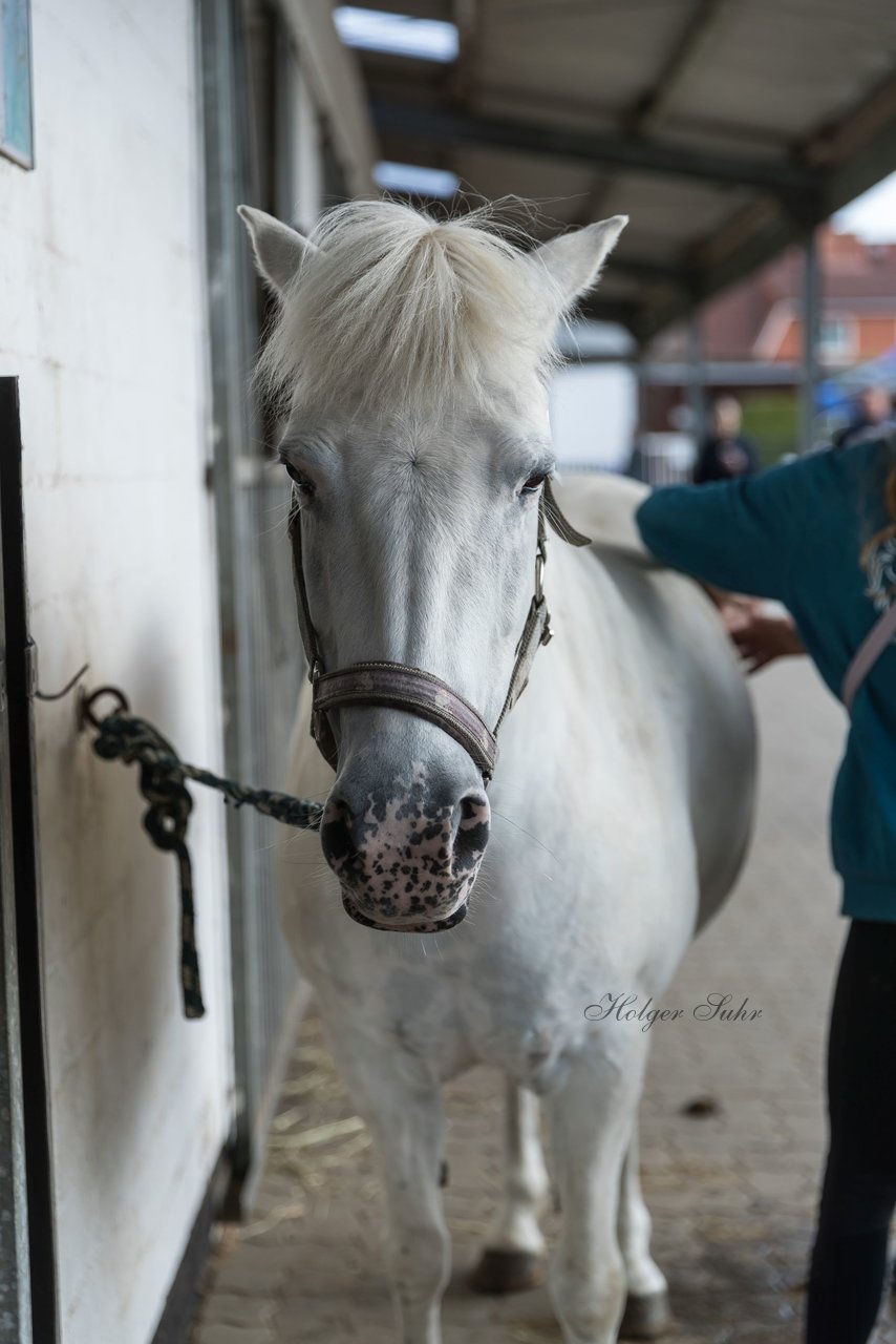 Bild 15 - Pony Akademie Turnier